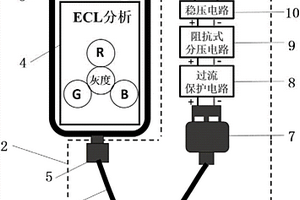 基于手機USB?OTG接口的電化學發光生化檢測系統及方法