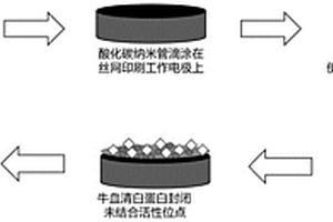 電化學生物傳感器及其制備方法與應用