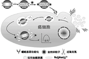 電致化學發光傳感器用于癌細胞識別的方法