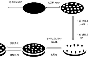 基于電聚合對巰基苯胺膜制備己烯雌酚分子印跡電化學傳感器的方法及其應用