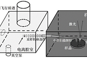 掃描化學反應顯微成像的方法及應用