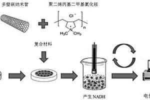用于檢測乳酸菌BCAT酶活的復合電極及其制備方法與應用、檢測NADH方法