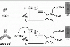 基于GQDs光催化可視化檢測Cu<Sup>2+</Sup>的方法