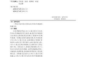 基于复合量子点的电化学DNA传感器的制备方法