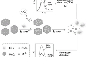 基于Fe<Sub>3</Sub>O<Sub>4</Sub>@MnO<Sub>2</Sub>和碳點的電化學和熒光雙信號傳感器檢測過氧化氫的方法