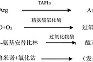 TAFIa含量的檢測方法、用于檢測TAFIa含量的試劑盒及二者的應用