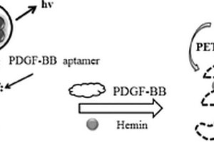基于DNA-銀納米簇（DNA-Ag NCs）適體傳感器，及其制備方法，用途以及檢測方法