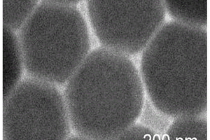基于錳基金屬鹵化物的光電化學生物傳感器、制備方法及其應用