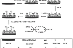 電化學生物傳感器及其制備方法和應用
