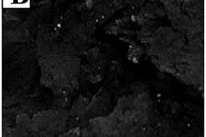 納米金/二氧化鈰復合電極及其制備方法和電化學傳感器及其應用