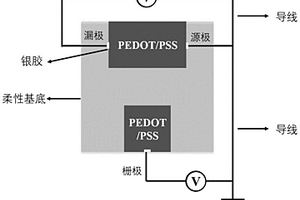 有機柵極電化學晶體管生物傳感器的構筑