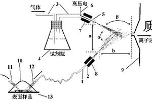 常壓化學萃取電離源