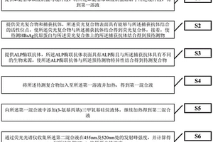 用于檢測HBsAg抗原蛋白的熒光檢測方法及試劑盒