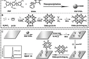 抗體復合物、生物傳感器及SARS-CoV-2的ECL檢測平臺和檢測方法