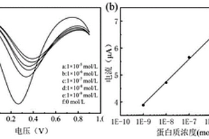 基于電活性天然大分子膠束的超靈敏蛋白質分子印跡電化學傳感器及其制備方法和應用