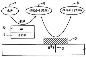 用于測定分析物 -酶復合物或者分析物 -酶軛合物濃度、特別是電化學檢測分析物用的方法和裝置,以及附屬測量裝置