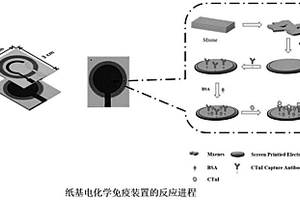 基于電化學分析用單層MXene增強信號檢測心肌肌鈣蛋白I的微流體紙基傳感器