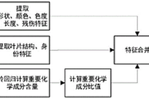 基于圖像及紅外光譜化學成分分析的自動化煙葉分級系統