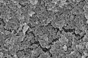 氯霉素的特異性分子印跡聚合物、化學發光試劑盒、檢測方法及應用