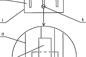 基于特種工作電極的電致化學發光分析檢測裝置