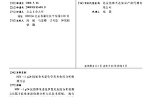 HIV-1 P24抗原魯米諾化學發光免疫分析檢測方法