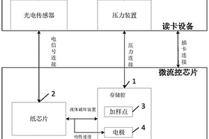 電化學發光免疫分析系統及方法