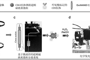 基于微流控和化學發光免疫分析的超順磁納米微粒外泌體分離檢測系統及其應用