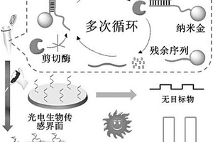 缺陷調控半導體的光電化學核酸分析方法