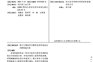 用于生物化學分析的毛細管電泳芯片的制備方法