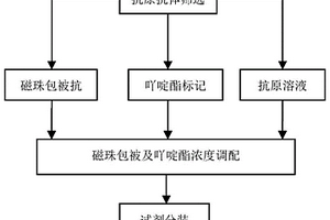 檢測風疹病毒IgM抗體的化學發光免疫分析試劑盒