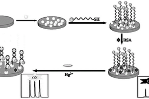 檢測Hg<Sup>2+</Sup>的自增強電化學發光適配體傳感器的制備方法