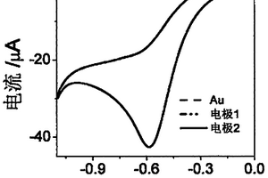 基于Ag<Sup>+</Sup>和Hg<Sup>2+</Sup>對DNA四聯體刻蝕作用的電化學檢測方法