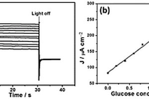 基于Fe<Sub>2</Sub>O<Sub>3</Sub>電極的無酶葡萄糖光電化學傳感器及其制備方法與檢測方法