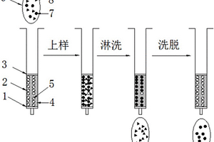 分子印跡固相萃取-液質聯用檢測膝溝藻毒素的分析方法