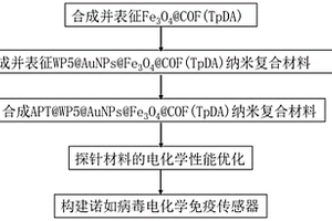 GⅡ.4諾如病毒的檢測材料、合成方法、檢測方法