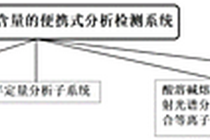 礦石中元素含量的便攜式分析檢測系統