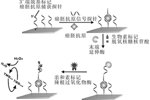基于末端延伸酶的電化學核酸適體傳感器檢測癌胚抗原的方法