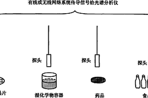 用基于納米結構的光譜檢測方法檢測化學物和生化物雜質