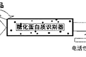 糖化血紅蛋白含量的電化學檢測方法及檢測裝置