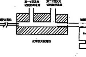 毛細管電泳-化學發光法檢測非衍生氨基酸的方法及其檢測裝置
