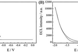 用于乳腺癌HER-2檢測的電化學發光適體傳感器及其檢測方法