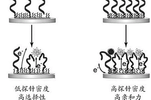檢測H1N1流感病毒的電化學傳感器及其制備和檢測方法