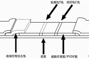基于點擊化學的檢測試紙條、檢測方法和應用