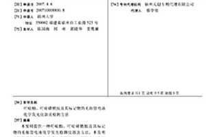 吖啶酯、吖啶磺酰胺及其标记物的毛细管电泳化学发光仪器及检测方法