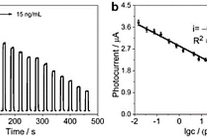 檢測SARS-CoV-2 S蛋白的納米抗體光電化學免疫傳感器的構建方法和用途