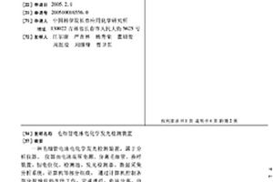毛細管電泳電化學發光檢測裝置