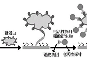 糖蛋白的电化学适体检测方法