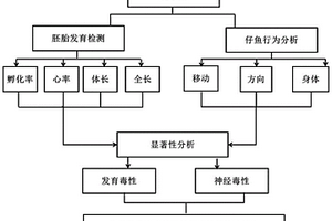 基于斑馬魚行為的化學品毒性檢測方法