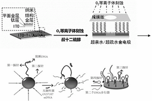 用于食源性微生物檢測的微液滴電化學傳感器及制備方法
