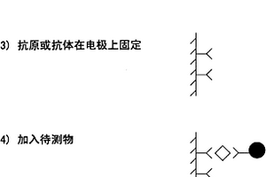 導電微粒子介導電化學發光信號的免疫檢測方法